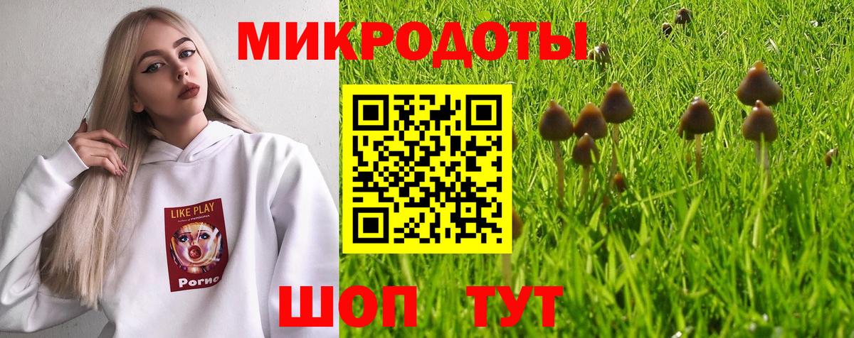 Псилоцибиновые грибы GOLDEN TEACHER Кохма