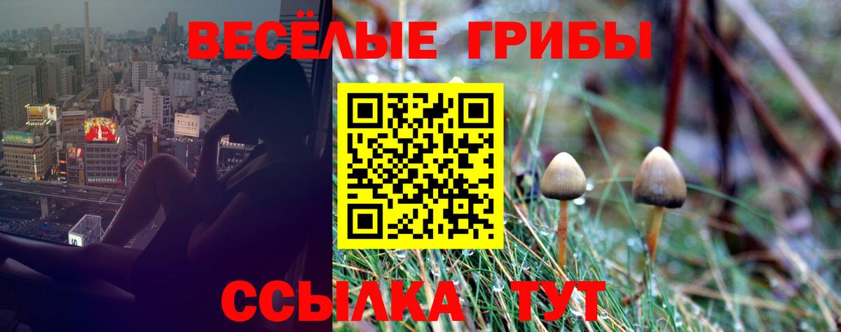 Галлюциногенные грибы мухоморы  Галлюциногенные грибы Psilocybine cubensis  Вход с VPN  купить закладку  Кохма 
